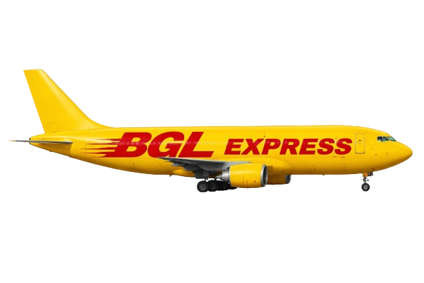 BGL Express | International Courier & Logistics Services in India